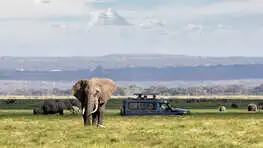 Duma Tours And Travel Kenya | Customized Tours