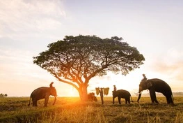 Duma Tours And Travel Kenya | Accommodation Booking